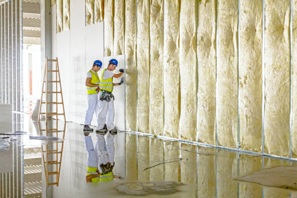 Best Home Insulation Services  in Hydro, OK